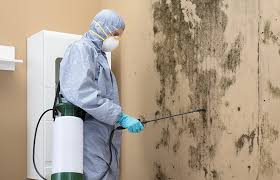 Best HVAC Mold Inspection and Cleaning  in Clearwater, FL